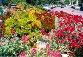 nz004flowerpark.jpg